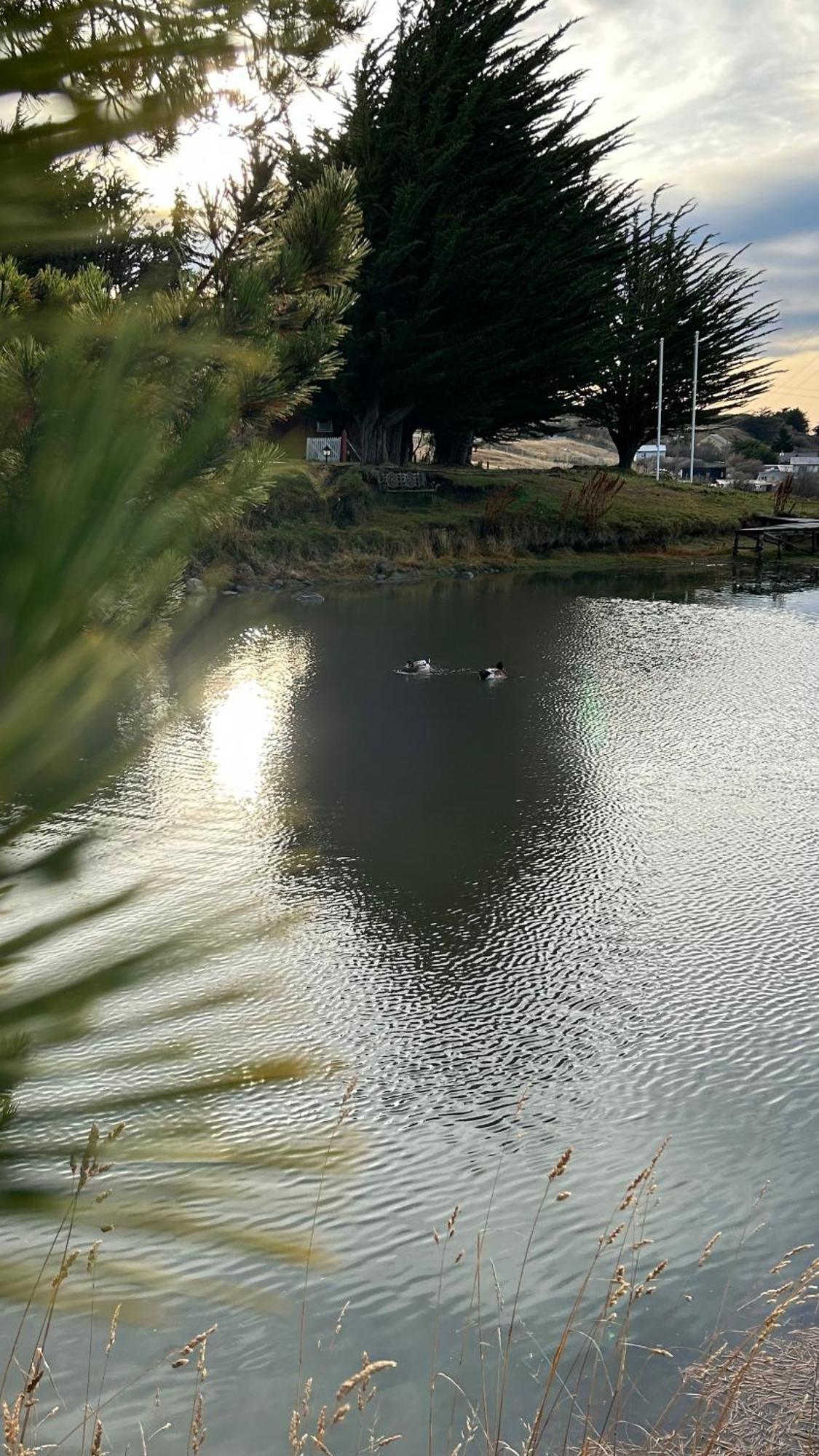 Hospedaje Isla Magdalena Πούντα Αρένας Εξωτερικό φωτογραφία
